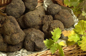 French Truffles from the Provence