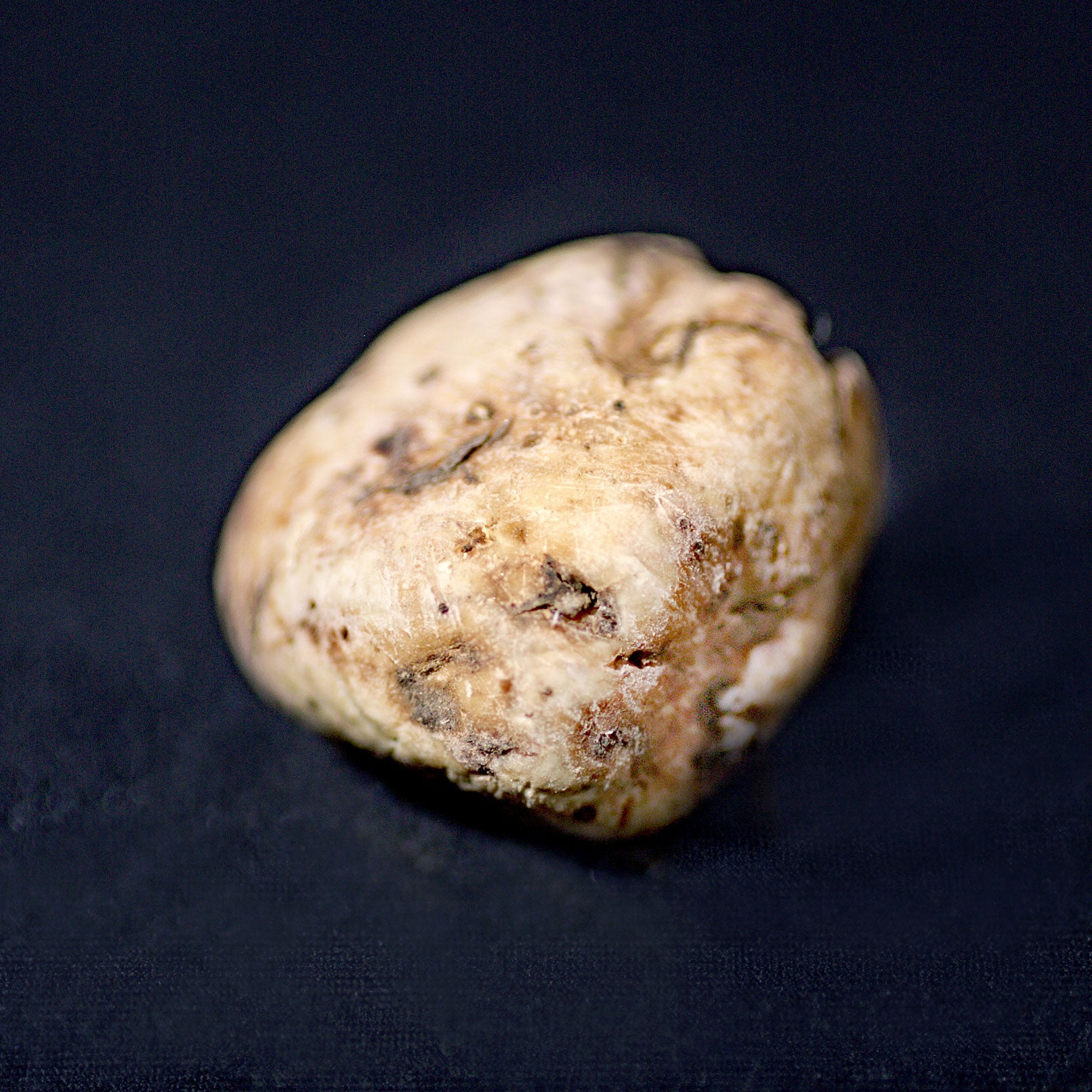 White Truffles from Alba