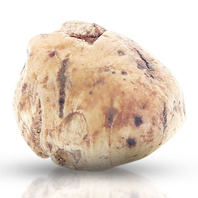 White Truffles from Alba