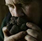 Black Truffles from the Provence