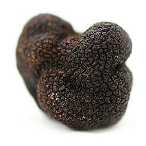 Black Truffles from the Provence