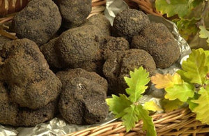 Fresh French Truffles