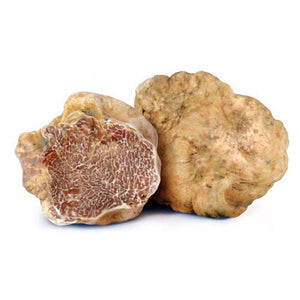 White Truffles from Alba
